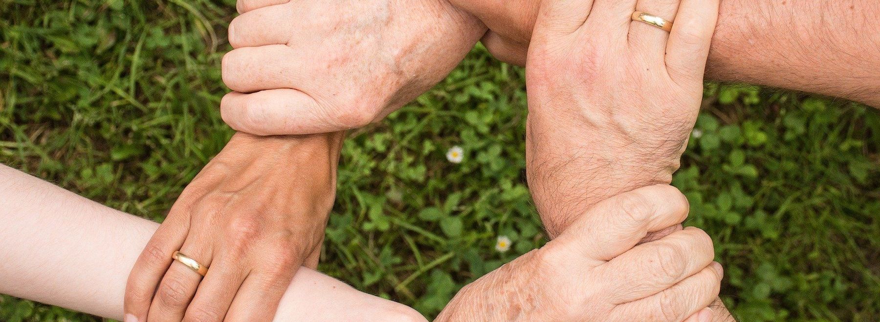 Vier Hände, alle mit Ringen, bilden über grünem Gras ein Quadrat.